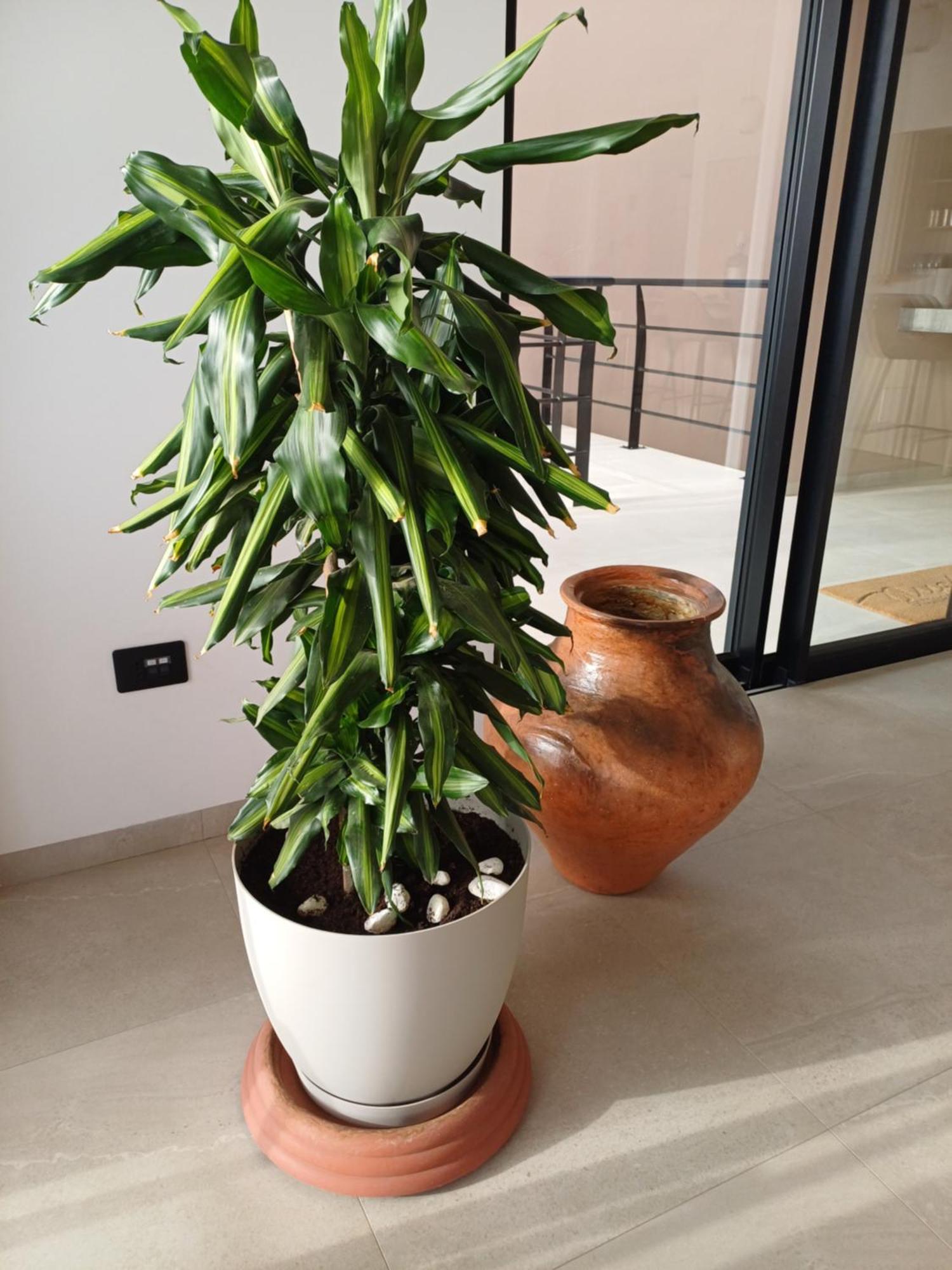明德卢Kasa Flor住宿加早餐旅馆 外观 照片